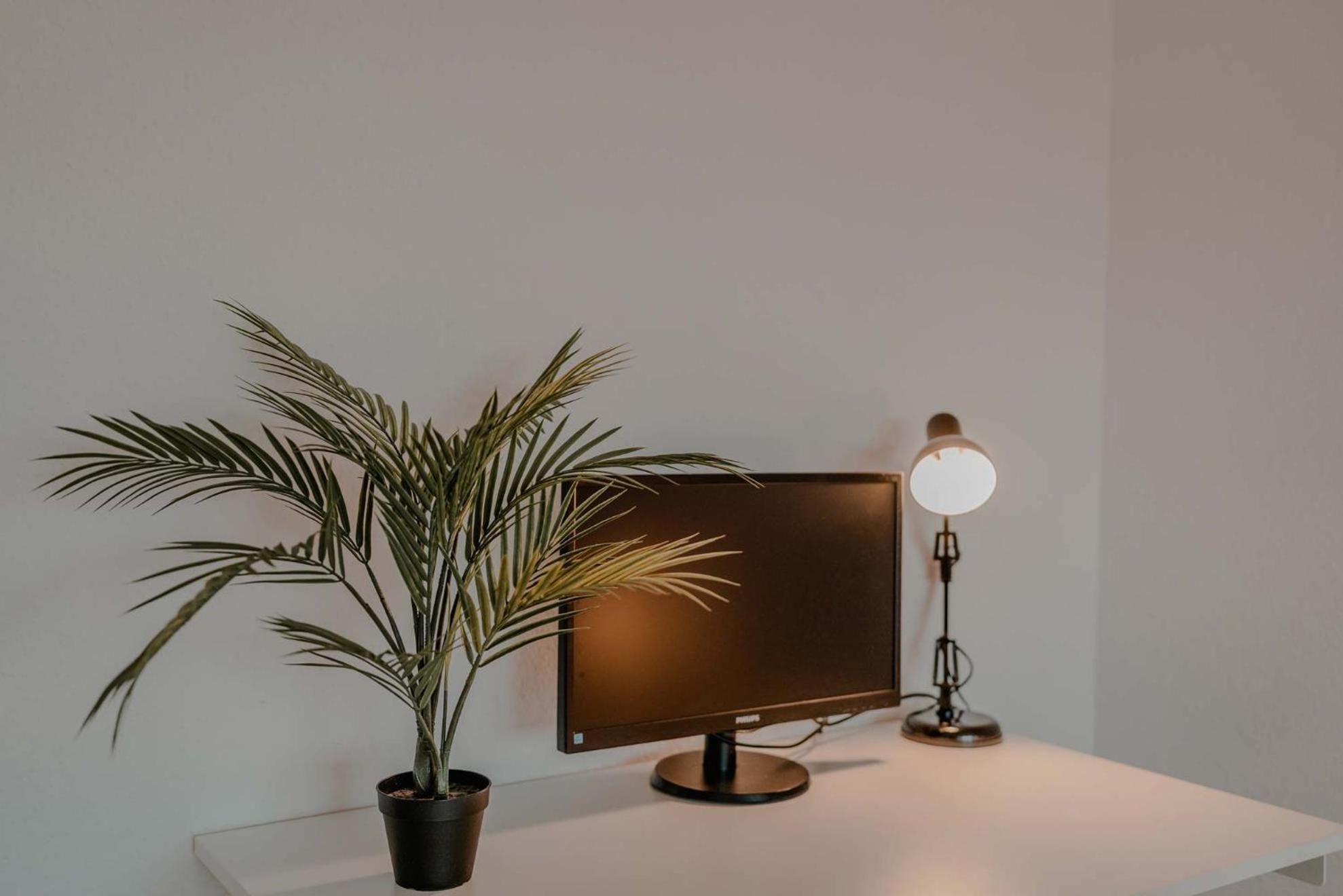 Mit Kueche, Arbeitsplatz Und Xxl Sofa Appartement Neuss